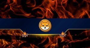 Shiba Inu (SHIB) Burn Rate Skyrockets by 30,000%