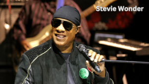 Stevie Wonder